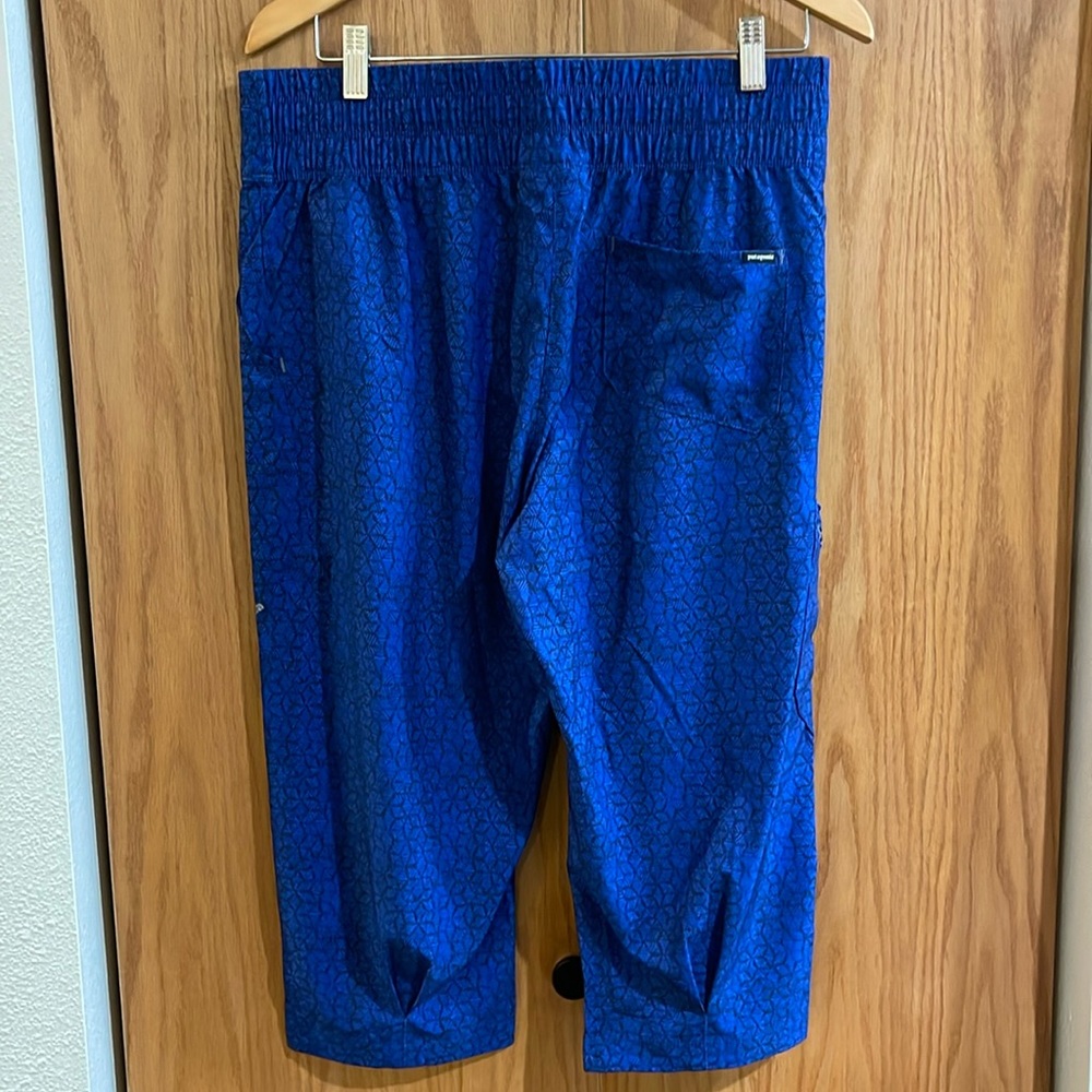 NWT Patagonia Fall River stretch capri crops